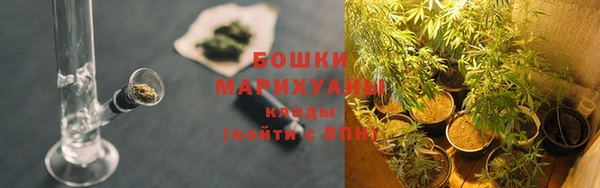 дмт Тутаев