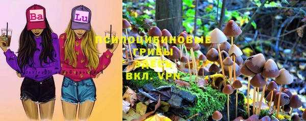 шишки Усмань