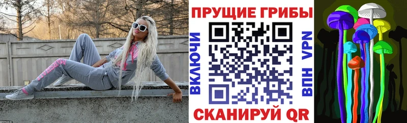 Купить Рославль Галлюциногенные грибы Magic Shrooms